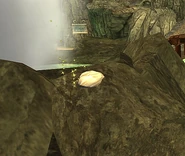 In School of Dragons