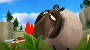 Sheep SD Cinematic 10