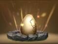 Boneknapper egg.jpeg