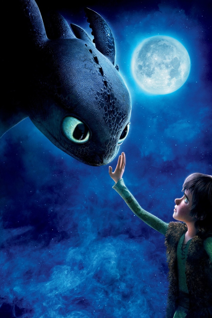 Dragon Training, How to Train Your Dragon Wiki