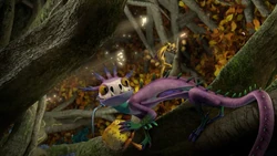 Click here to view more images from the Vine Tail.