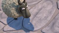 MM - Haggis having seen his shadow.jpg