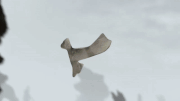 Bone Armor.gif
