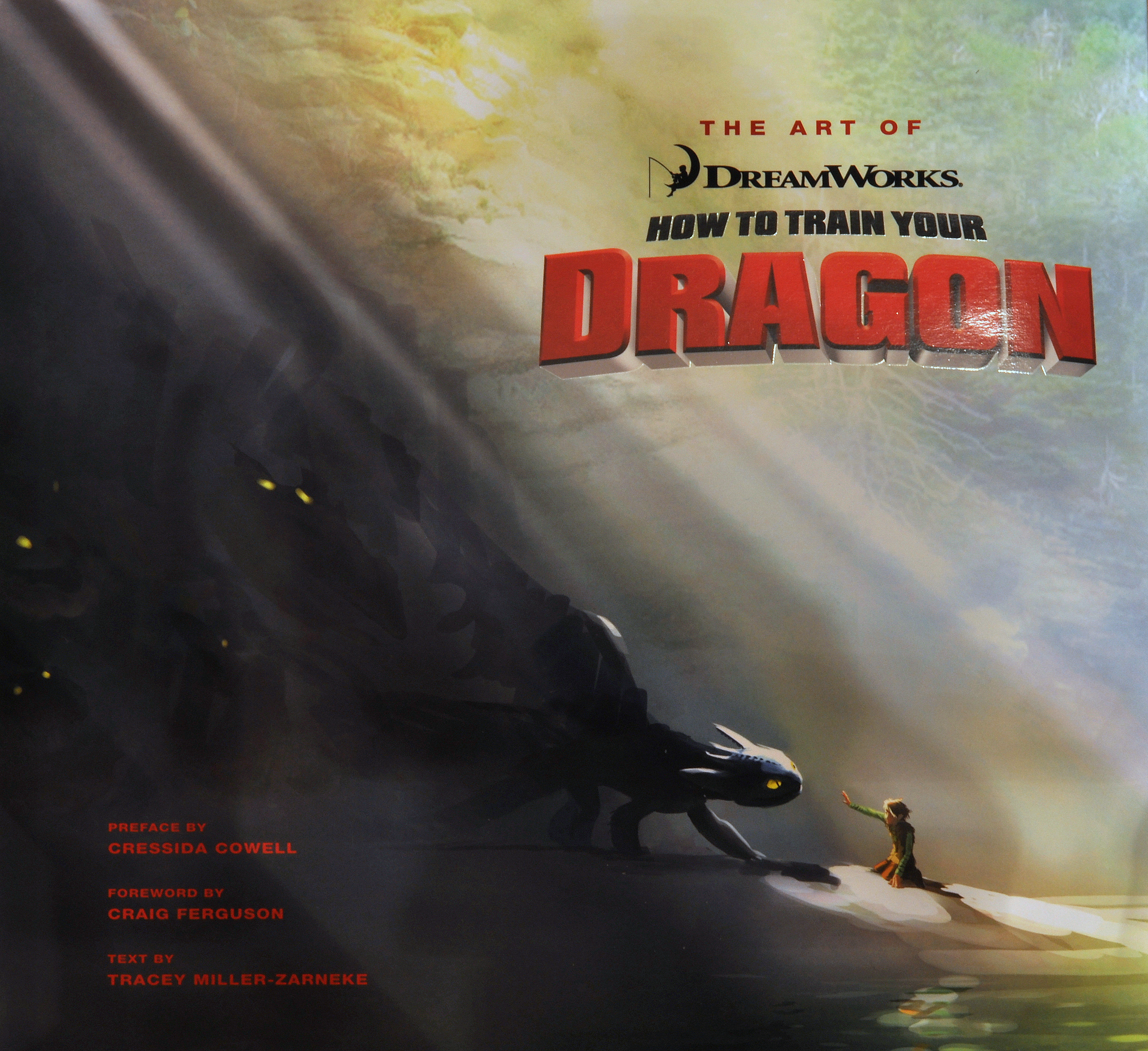 How to Train Your Dragon 2 Race Paint Tutorial