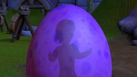 DoubleFinked-152-AxelsShadowOnEgg.jpg