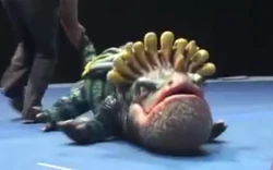 Click here to view more images from the Gobsucker.