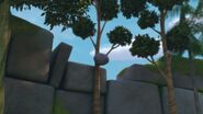 GOH - The rock hitting a tree