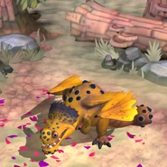 As a hatchling