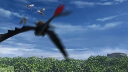 Click here to view more images from Edge Nadder.