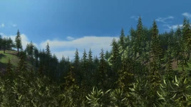 MidnightScrum-BountyHunterIsle1