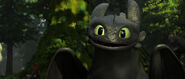 THW-Toothless-17