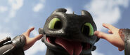 THW-Hiccup, Toothless-5