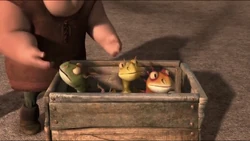 Click here to view more images from Iggy.