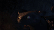 Slitherwing's Stamina.gif