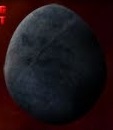 Night Fury Egg