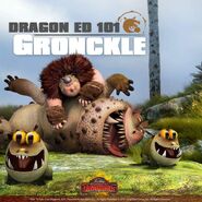 Dragon Ed 101 Gronckle