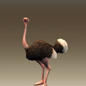 Ostrich How To Train Your Dragon Wiki Fandom