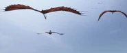 Soaring Sidekick flying in HTTYD2