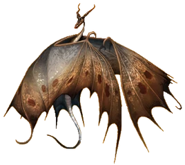 Soaring Sidekick - NBG