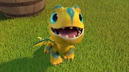 SP - Sizzle now happy again.jpg (377 KB) Yellow and turquoise