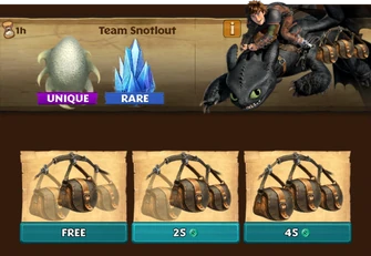 Team Snotlout Day 1