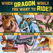 Which dragon rttes6 promo