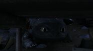 Toothless(142)