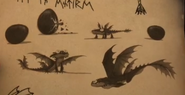 Night Fury Hatchlings drawings faked by Mildew in "We Are Family, Part 2"