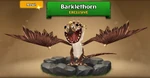 ROB-Barklethorn Hatchling