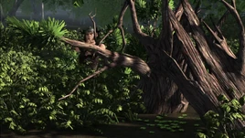 LoyalOrderOfIngerman-PoisonOak1