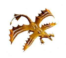 ROB-Winterwick-Transparent