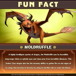 20 Fun Facts About Dragons — GripRoom