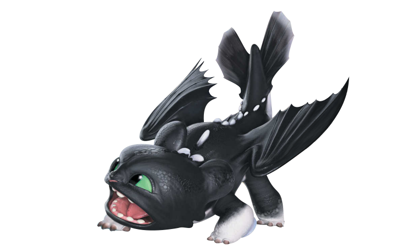 Ruffrunner is one of the offspring of Toothless and the Light Fury who firs...