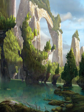TU⁄BG⁄Region⁄Forest