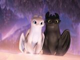 Toothless and Light Fury's Relationship