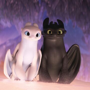 Toothless And Light Fury S Relationship How To Train Your Dragon Wiki Fandom I am such a huge fan of these how to train your dragon movies and i have a. how to train your dragon wiki