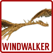 WindwalkerSpeciesPortal