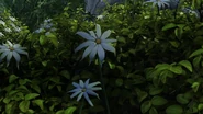 White flower 1.png (2.54 MB)