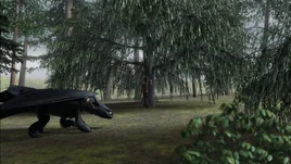 AllBarkNoBite-WillowBark1