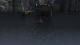 Seashocker used as a mean of transport.gif