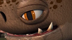 Click here to view more images from Big Buff.