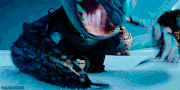 Eret as Stormfly's 'toy'.gif