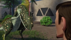 Click here to view more images from Jerry.