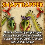 Snaptrapper FB reveal