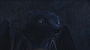 Toothless(124)