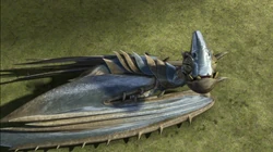 Click here to view more images from Wingnut.