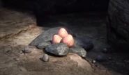 RTTE Monstrous Nightmare Egg.png (176 KB) In Race to the Edge