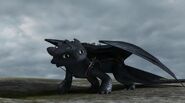 Toothless(151)