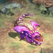 As a hatchling