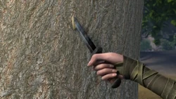 Click here to view more images from Pine.